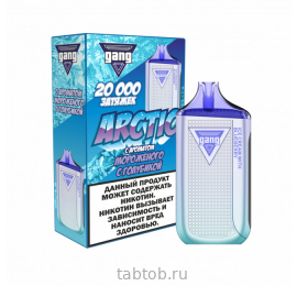 GANG ARCTIC Мороженое с Голубикой 20000 затяжек