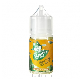 Жидкость HUSKY MINT STRONG salt CITRUS DAYS Апельсин Цитрус Мята 30 мл