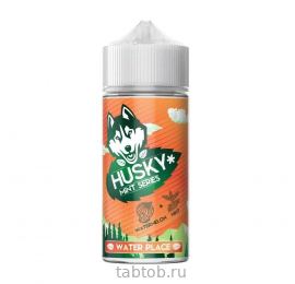 Жидкость HUSKY MINT STRONG salt WATER PLACE Арбуз Мята 30 мл