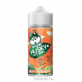 Жидкость HUSKY MINT STRONG salt WATER PLACE Арбуз Мята 30 мл