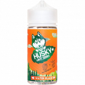 Жидкость HUSKY MINTsalt WATER PLACE Арбуз Мята 30 мл